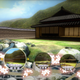 Illustration for article titled More On Shiki-Tei, The PS3 Gardening Game
